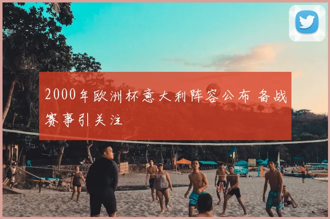 2000年欧洲杯意大利阵容公布 备战赛事引关注