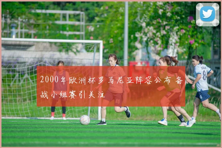 2000年欧洲杯罗马尼亚阵容公布 备战小组赛引关注